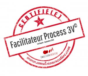 animateur certifié process 3v